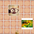 instamory_03
