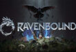 Scandinavian folk tale-powered roguelike Ravenbound is a part of Next Fest