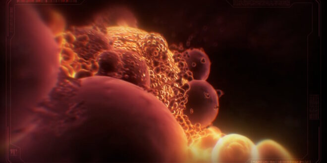 Metroid Prime: A Jump in Dimensions