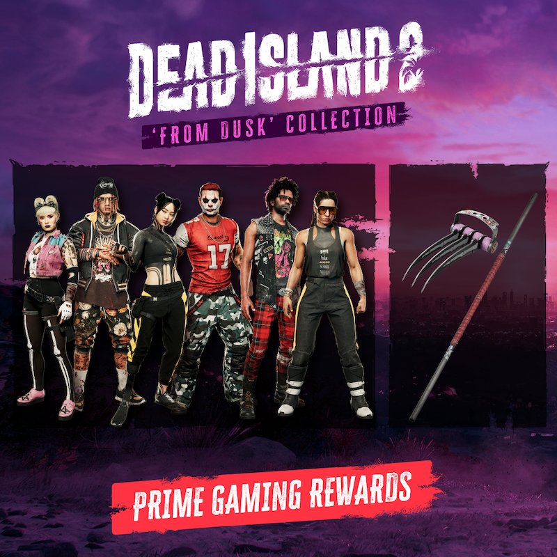 Dead Island 2 - Character Pack 2 - Cyber Slayer Amy DLC US PS4 CD Key