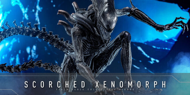 The xenomorph from Alien: Romulus gets its first Hot Toys offering