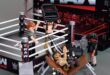 It’s Playmobil x WWE for a brand new lineup